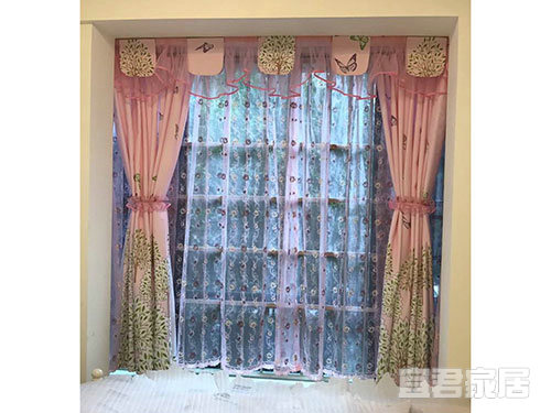 花叢蝴蝶 花叢蝴蝶